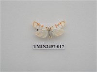 藏品(二斑叉紋苔蛾)的圖片